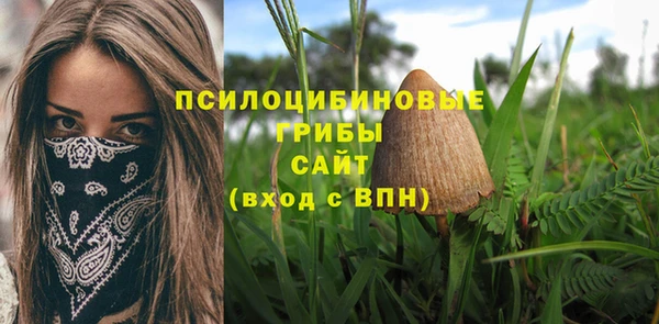 меф Мегион